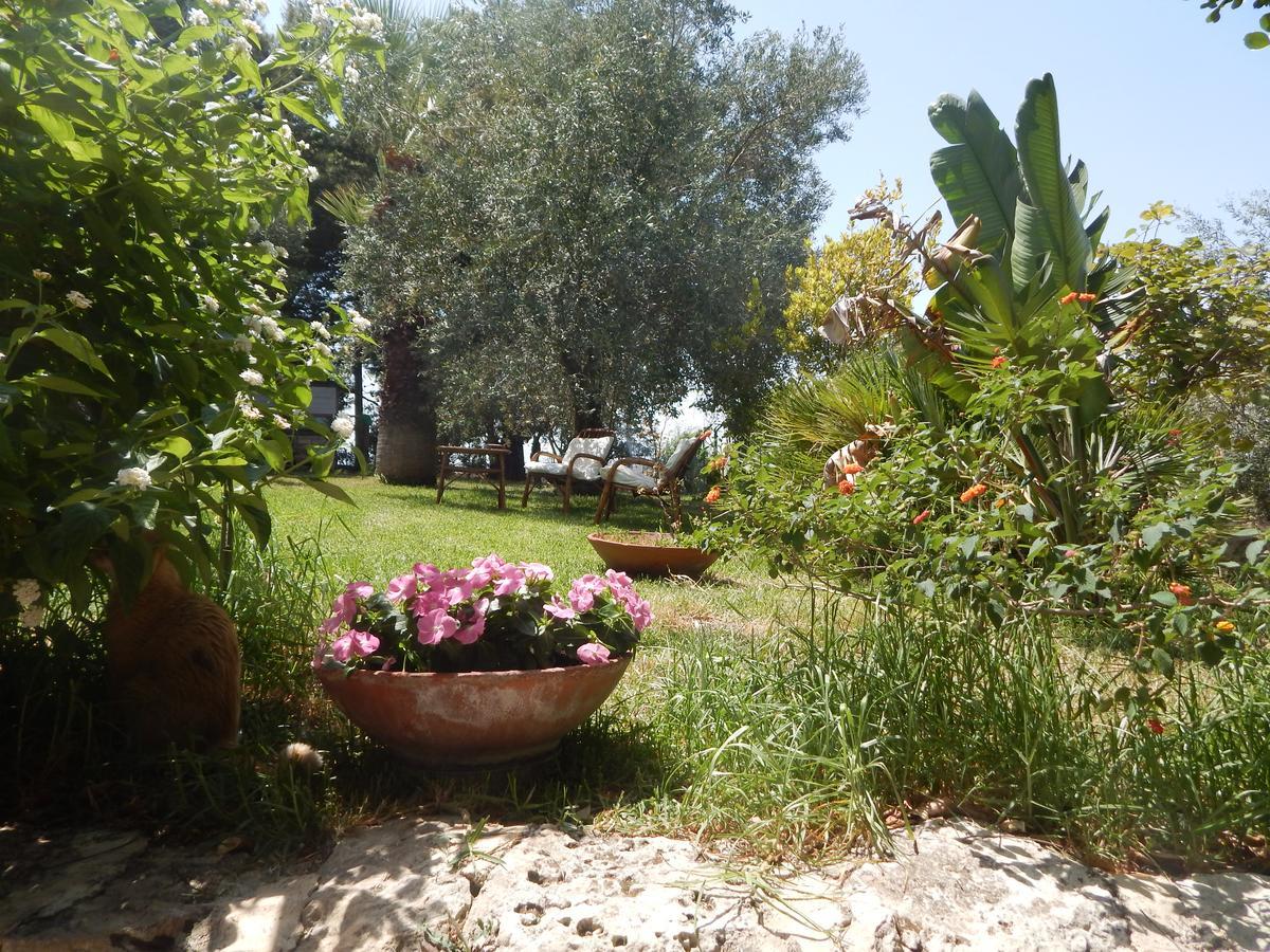 سان كورّادو دي فووري Villa Azzurra المظهر الخارجي الصورة